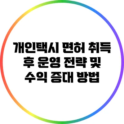 개인택시 면허 취득 후 운영 전략 및 수익 증대 방법