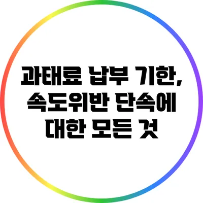 과태료 납부 기한, 속도위반 단속에 대한 모든 것