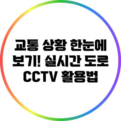 교통 상황 한눈에 보기! 실시간 도로 CCTV 활용법