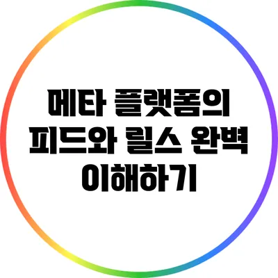 메타 플랫폼의 피드와 릴스 완벽 이해하기