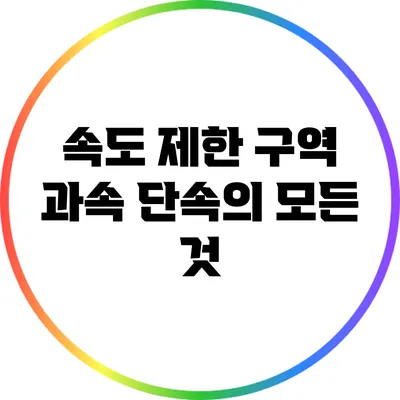 속도 제한 구역 과속 단속의 모든 것