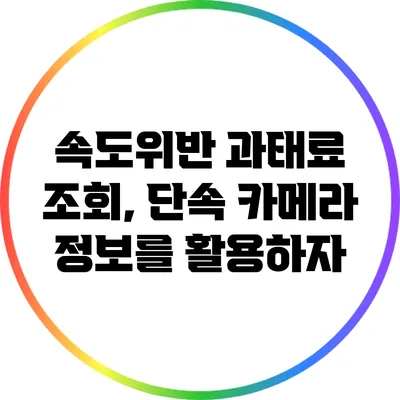 속도위반 과태료 조회, 단속 카메라 정보를 활용하자
