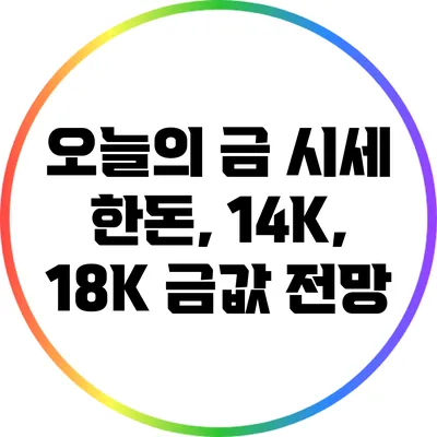 오늘의 금 시세: 한돈, 14K, 18K 금값 전망