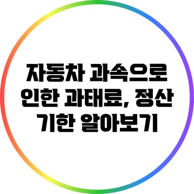 자동차 과속으로 인한 과태료, 정산 기한 알아보기