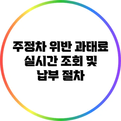 주정차 위반 과태료 실시간 조회 및 납부 절차