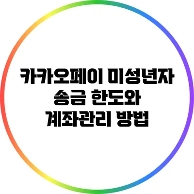 카카오페이 미성년자 송금 한도와 계좌관리 방법