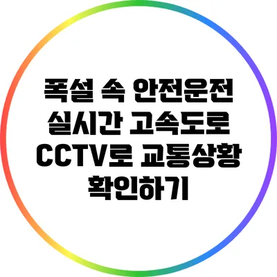 폭설 속 안전운전: 실시간 고속도로 CCTV로 교통상황 확인하기