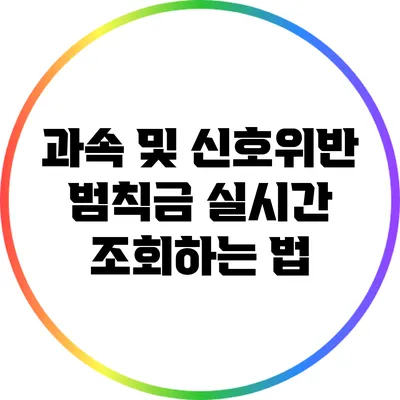 과속 및 신호위반 범칙금 실시간 조회하는 법