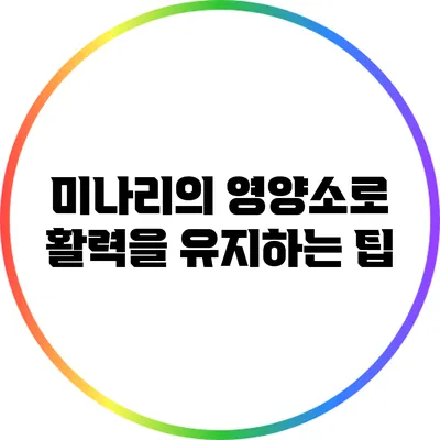 미나리의 영양소로 활력을 유지하는 팁