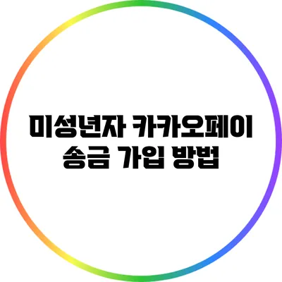 미성년자 카카오페이 송금 가입 방법
