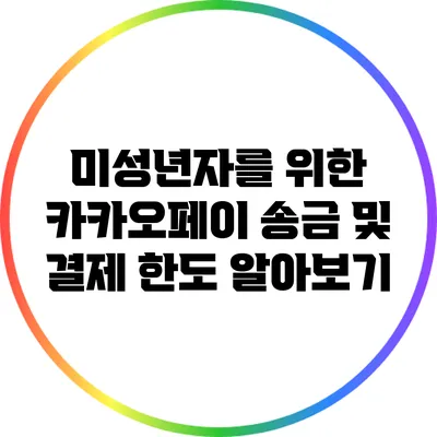 미성년자를 위한 카카오페이 송금 및 결제 한도 알아보기