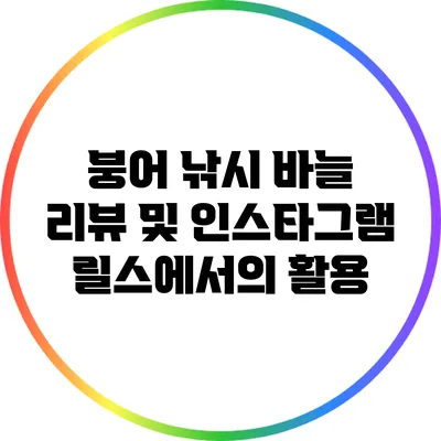 붕어 낚시 바늘 리뷰 및 인스타그램 릴스에서의 활용