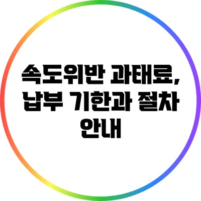 속도위반 과태료, 납부 기한과 절차 안내
