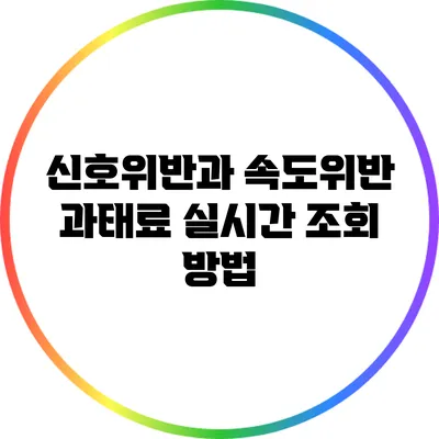 신호위반과 속도위반 과태료 실시간 조회 방법
