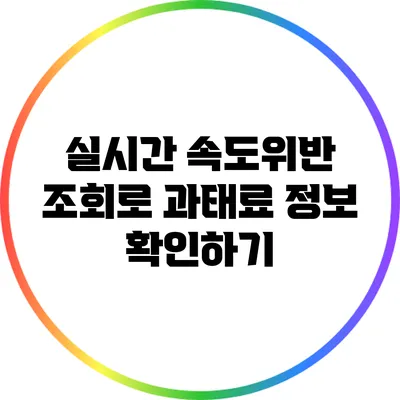 실시간 속도위반 조회로 과태료 정보 확인하기