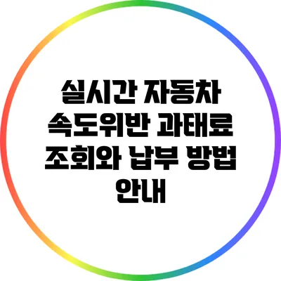 실시간 자동차 속도위반 과태료 조회와 납부 방법 안내