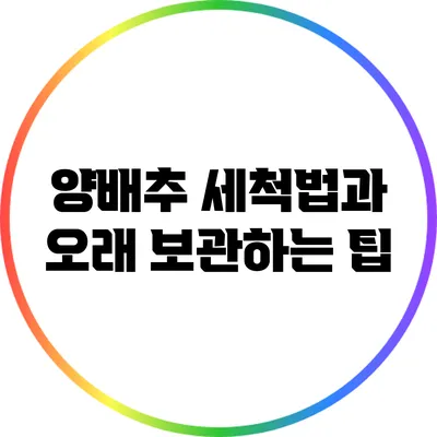양배추 세척법과 오래 보관하는 팁