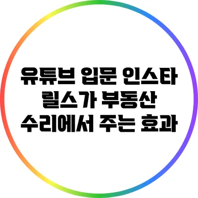 유튜브 입문: 인스타 릴스가 부동산 수리에서 주는 효과