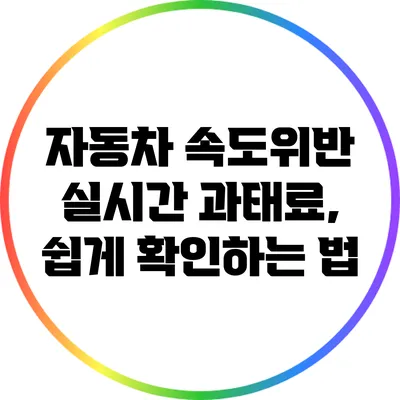 자동차 속도위반 실시간 과태료, 쉽게 확인하는 법