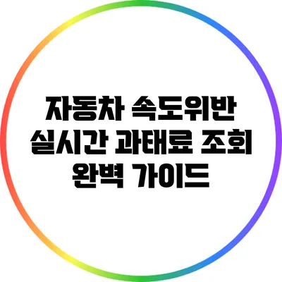 자동차 속도위반 실시간 과태료 조회 완벽 가이드