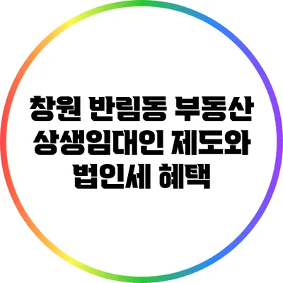 창원 반림동 부동산: 상생임대인 제도와 법인세 혜택
