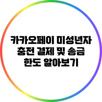 카카오페이 미성년자 충전 결제 및 송금 한도 알아보기