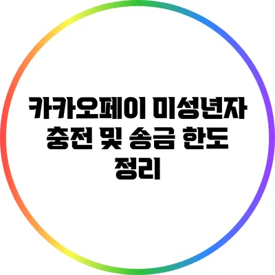 카카오페이 미성년자 충전 및 송금 한도 정리