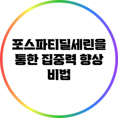 포스파티딜세린을 통한 집중력 향상 비법