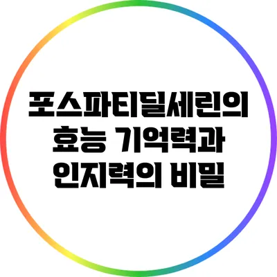 포스파티딜세린의 효능: 기억력과 인지력의 비밀