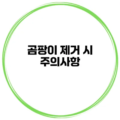 곰팡이 제거 시 주의사항