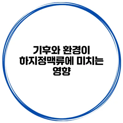 기후와 환경이 하지정맥류에 미치는 영향