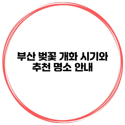부산 벚꽃 개화 시기와 추천 명소 안내