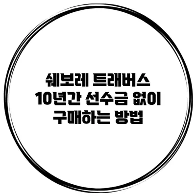 쉐보레 트래버스 10년간 선수금 없이 구매하는 방법