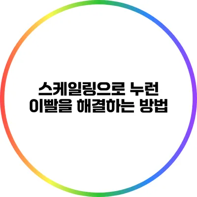 스케일링으로 누런 이빨을 해결하는 방법