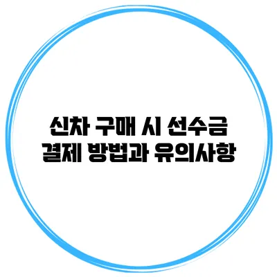신차 구매 시 선수금 결제 방법과 유의사항