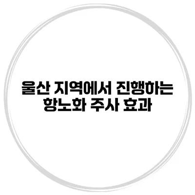 울산 지역에서 진행하는 항노화 주사 효과