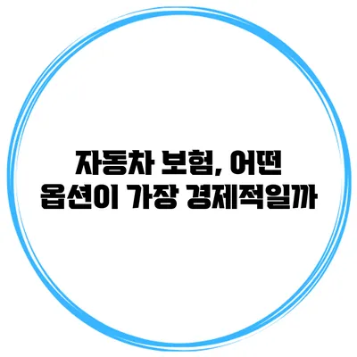 자동차 보험, 어떤 옵션이 가장 경제적일까?