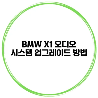 BMW X1 오디오 시스템 업그레이드 방법