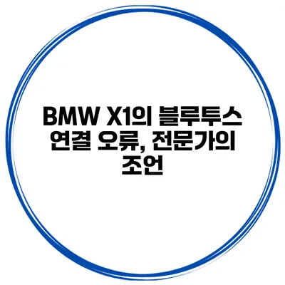 BMW X1의 블루투스 연결 오류, 전문가의 조언