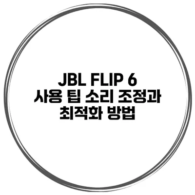 JBL FLIP 6 사용 팁 소리 조정과 최적화 방법