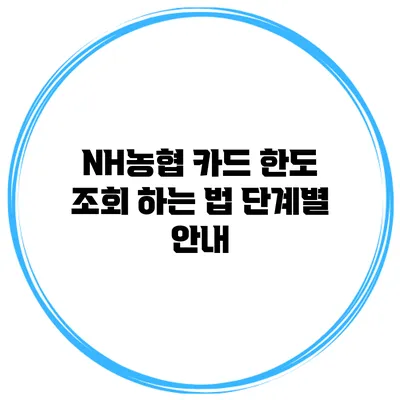 NH농협 카드 한도 조회 하는 법 단계별 안내