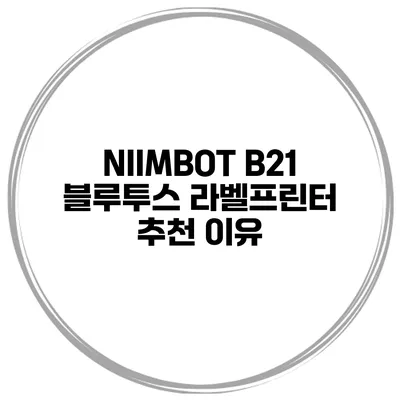 NIIMBOT B21 블루투스 라벨프린터 추천 이유