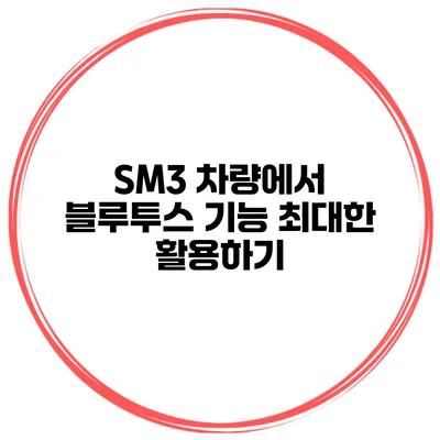 SM3 차량에서 블루투스 기능 최대한 활용하기