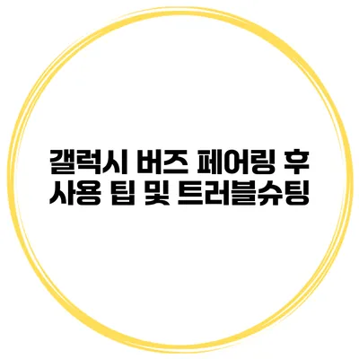 갤럭시 버즈 페어링 후 사용 팁 및 트러블슈팅