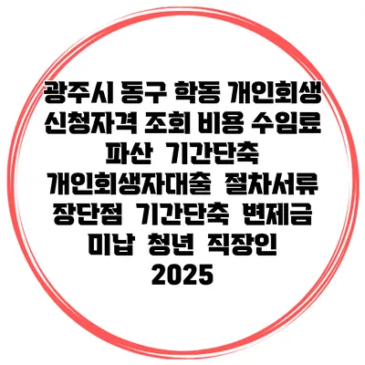 광주시 동구 학동 개인회생 신청자격 조회 비용 수임료 | 파산 | 기간단축 | 개인회생자대출 | 절차서류 | 장단점 | 기간단축 | 변제금 미납 | 청년 | 직장인 2025