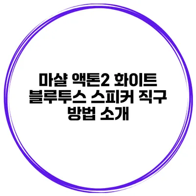 마샬 액톤2 화이트 블루투스 스피커 직구 방법 소개