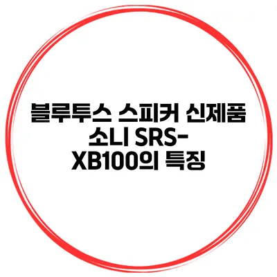 블루투스 스피커 신제품 소니 SRS-XB100의 특징