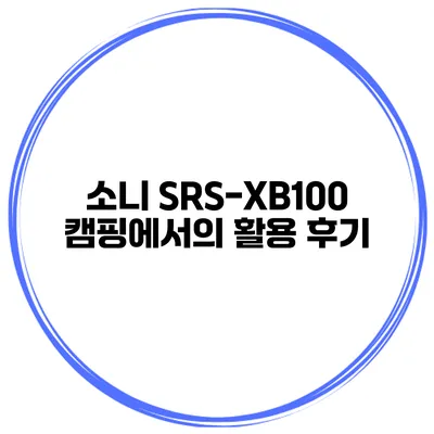 소니 SRS-XB100 캠핑에서의 활용 후기