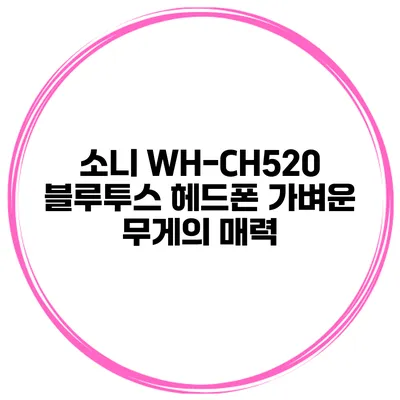소니 WH-CH520 블루투스 헤드폰 가벼운 무게의 매력