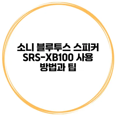 소니 블루투스 스피커 SRS-XB100 사용 방법과 팁
